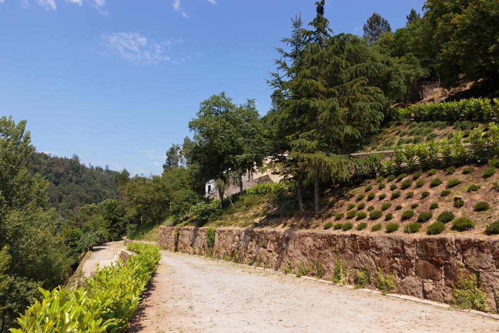 Douro Green Castelo de Paiva Kültér fotó