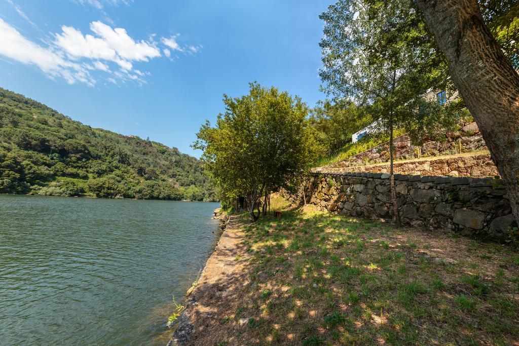 Douro Green Castelo de Paiva Kültér fotó
